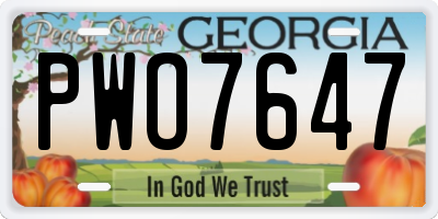 GA license plate PWO7647