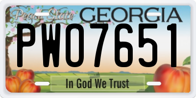 GA license plate PWO7651