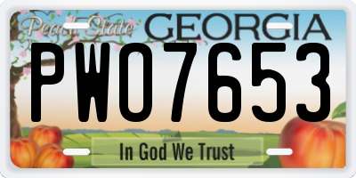 GA license plate PWO7653