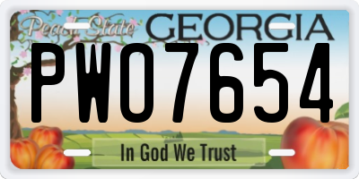 GA license plate PWO7654