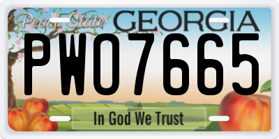 GA license plate PWO7665