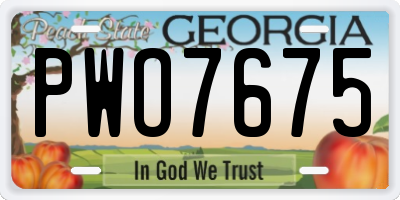 GA license plate PWO7675