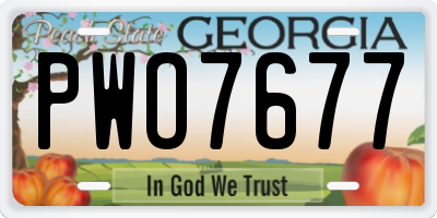 GA license plate PWO7677