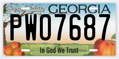 GA license plate PWO7687