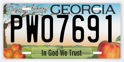 GA license plate PWO7691