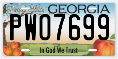 GA license plate PWO7699