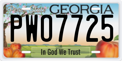 GA license plate PWO7725
