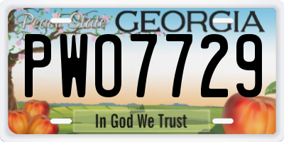 GA license plate PWO7729