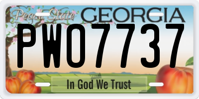 GA license plate PWO7737