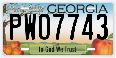 GA license plate PWO7743