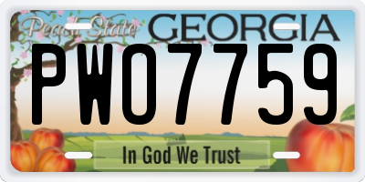 GA license plate PWO7759