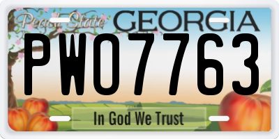 GA license plate PWO7763
