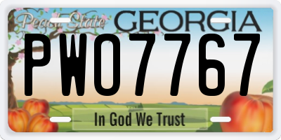 GA license plate PWO7767