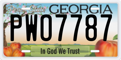 GA license plate PWO7787