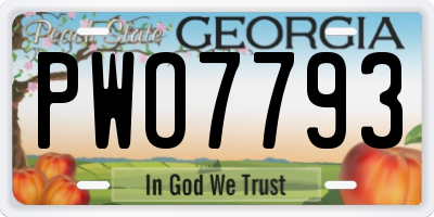 GA license plate PWO7793