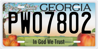 GA license plate PWO7802