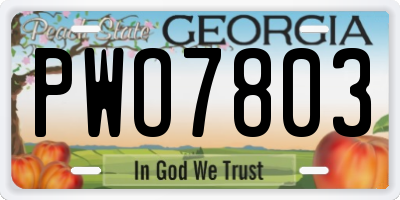 GA license plate PWO7803