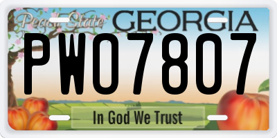 GA license plate PWO7807