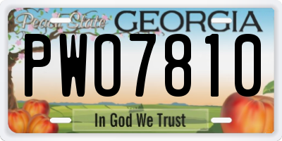 GA license plate PWO7810