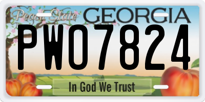GA license plate PWO7824