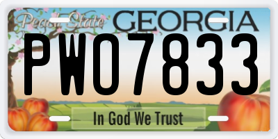 GA license plate PWO7833