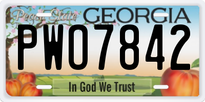 GA license plate PWO7842