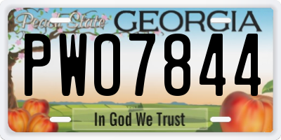GA license plate PWO7844