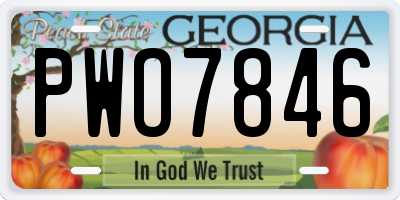 GA license plate PWO7846