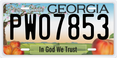 GA license plate PWO7853