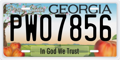 GA license plate PWO7856
