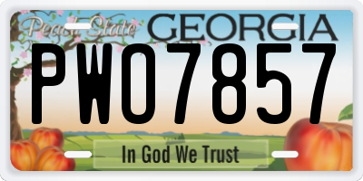 GA license plate PWO7857