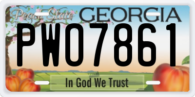 GA license plate PWO7861
