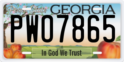 GA license plate PWO7865
