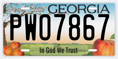 GA license plate PWO7867