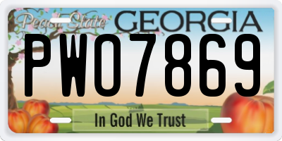 GA license plate PWO7869