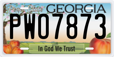 GA license plate PWO7873
