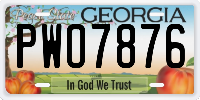 GA license plate PWO7876
