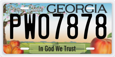 GA license plate PWO7878