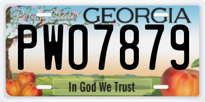 GA license plate PWO7879