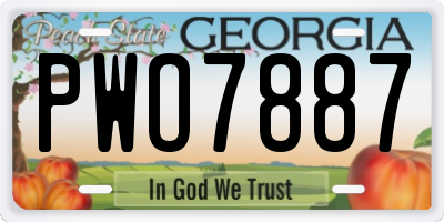 GA license plate PWO7887