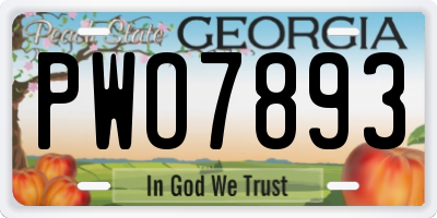 GA license plate PWO7893
