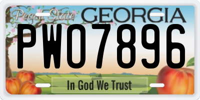 GA license plate PWO7896