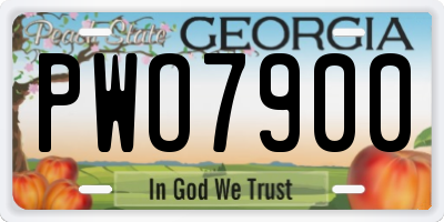 GA license plate PWO7900