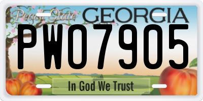 GA license plate PWO7905