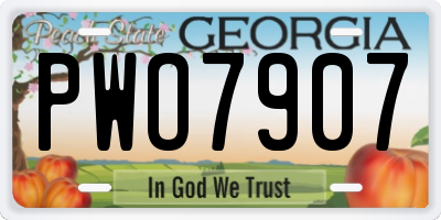 GA license plate PWO7907