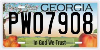 GA license plate PWO7908