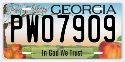 GA license plate PWO7909