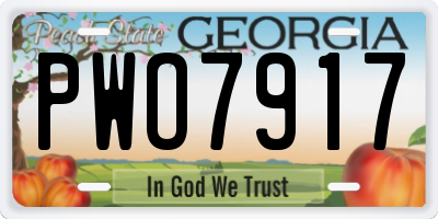 GA license plate PWO7917