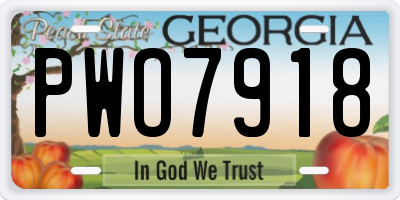 GA license plate PWO7918
