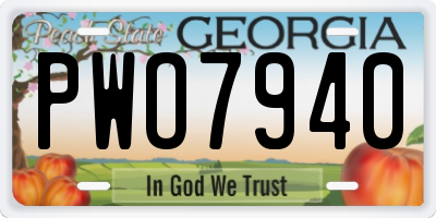 GA license plate PWO7940